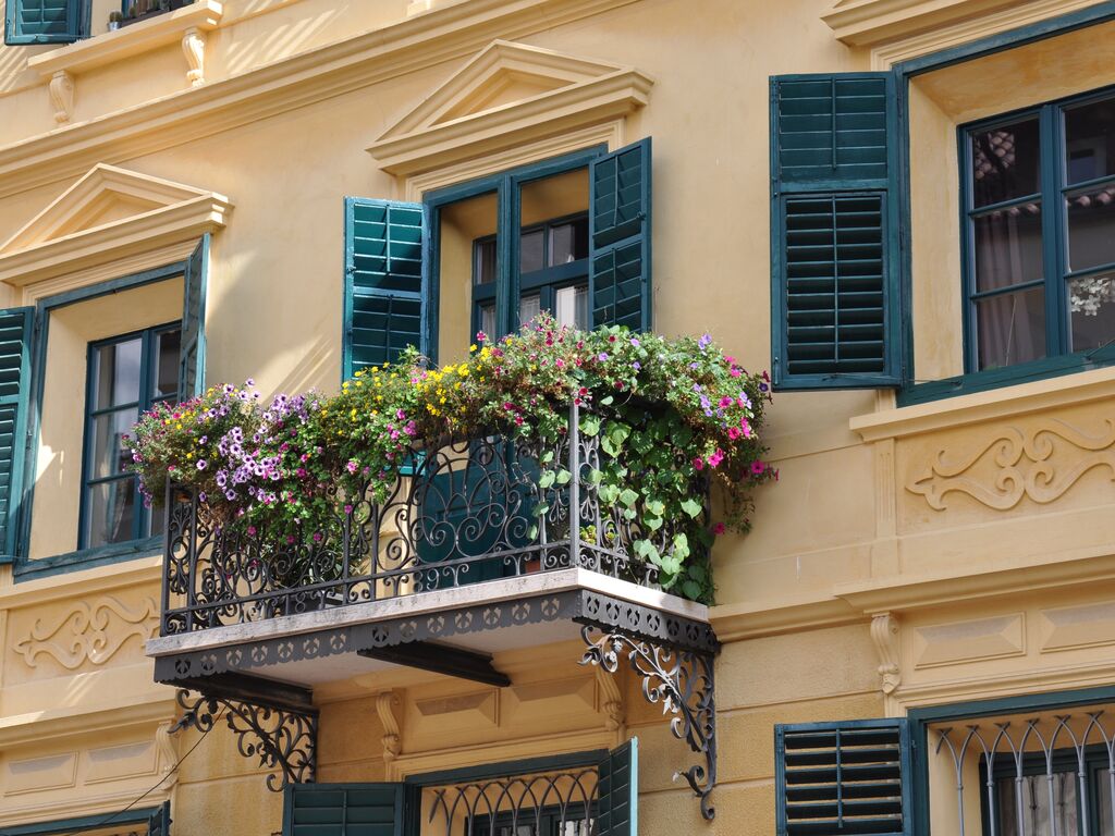 Pintura de fachadas: Montokril Liso (4 Litros). Coloreable (4)